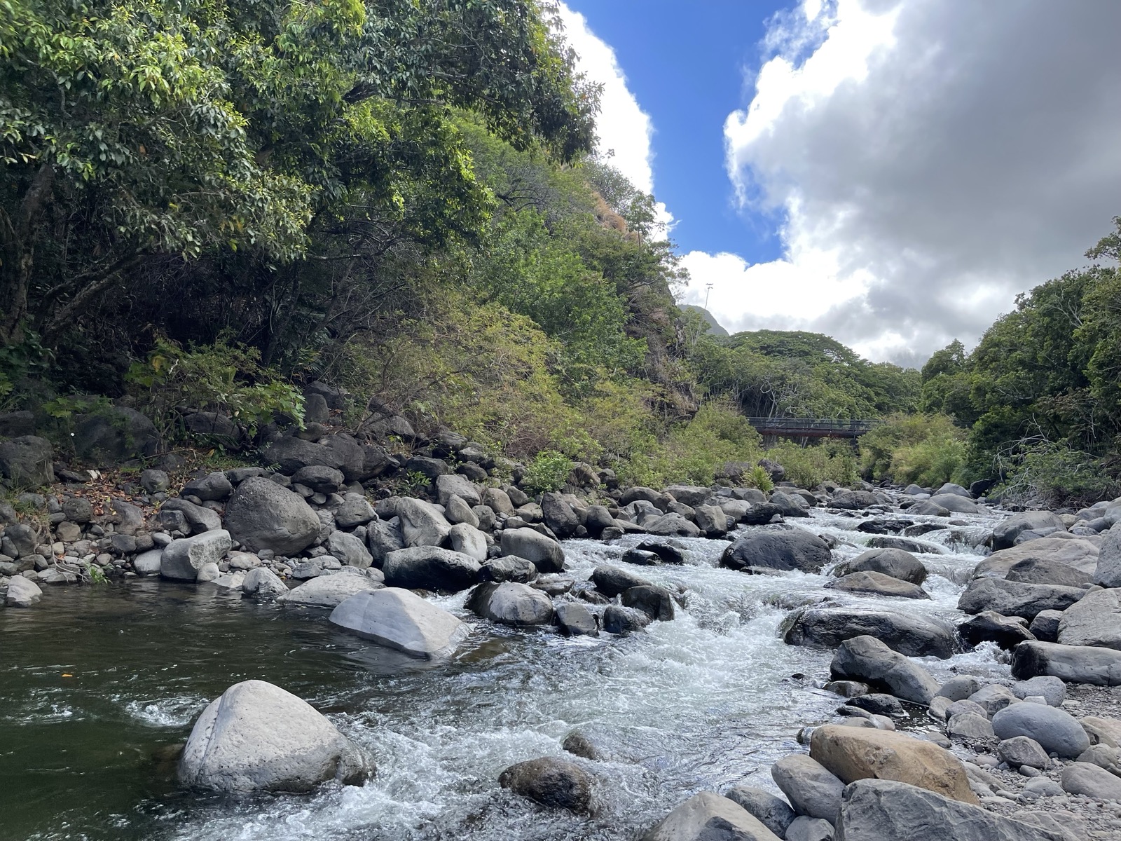 Maui Nui landscape